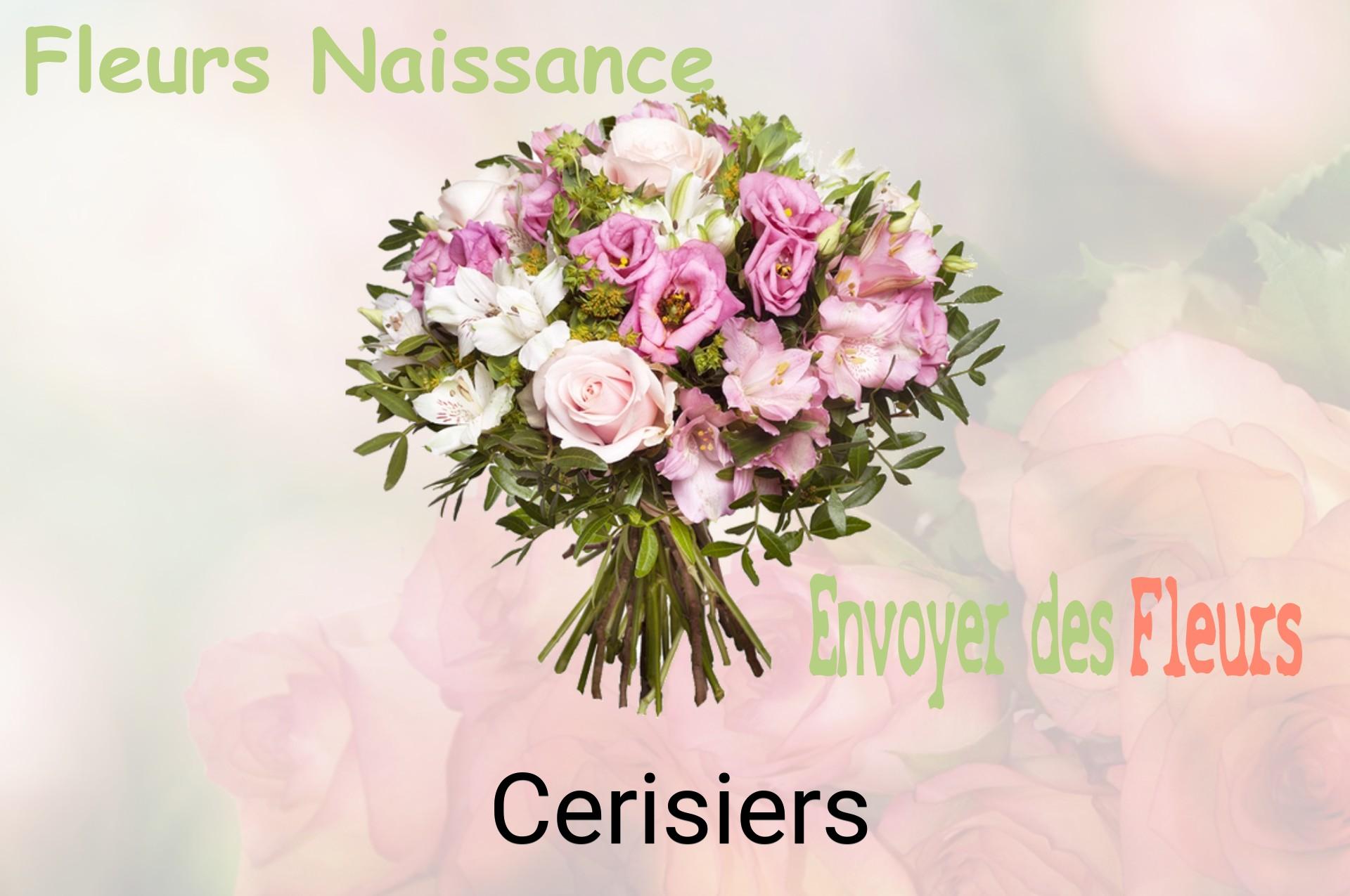 Bouquet de fleurs de naissance livré à Cerisiers
