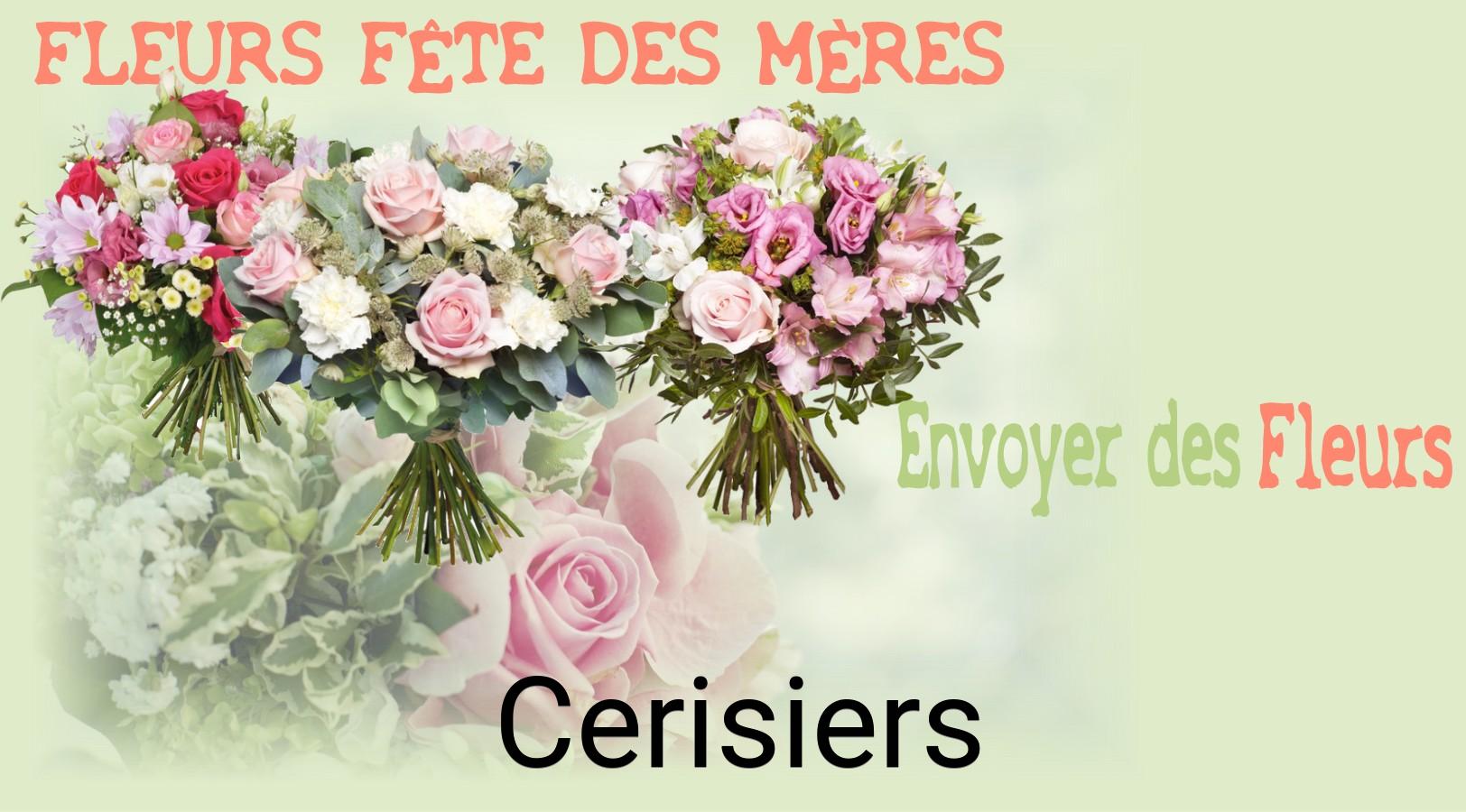 Bouquet de Fête des Mères livré à Cerisiers